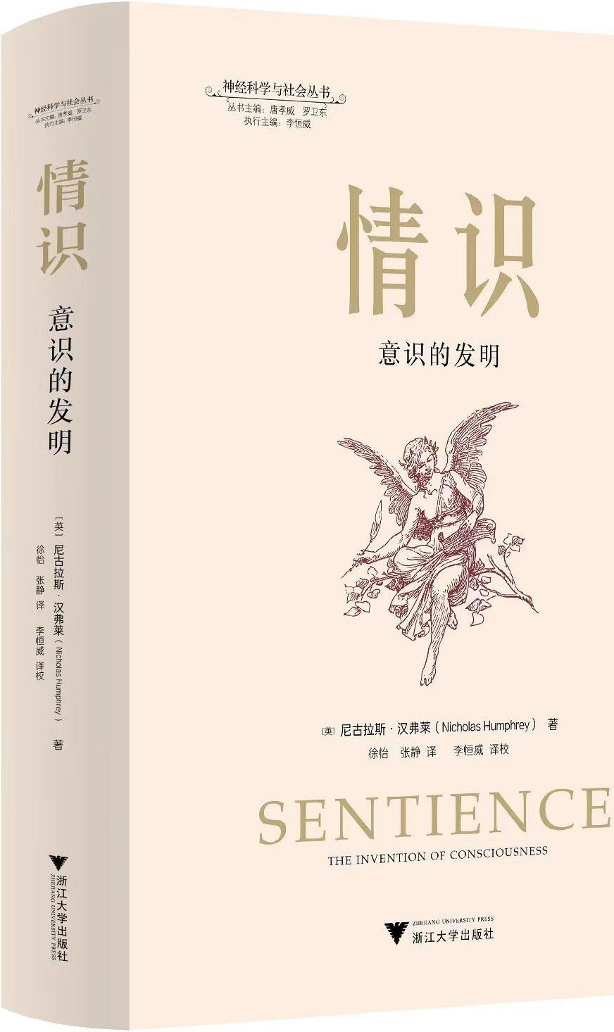 情识