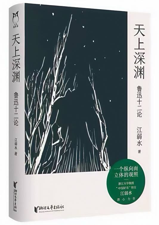 天上深渊：鲁迅十二论