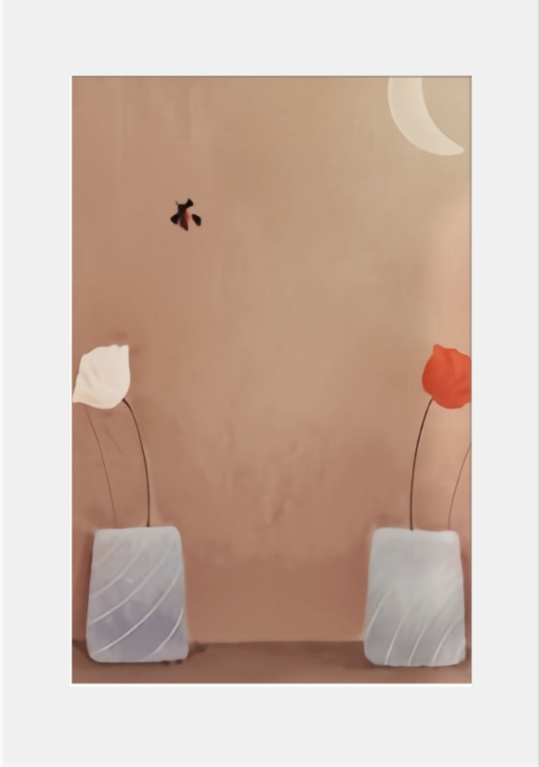 红鲸书肆 明信片 书版画